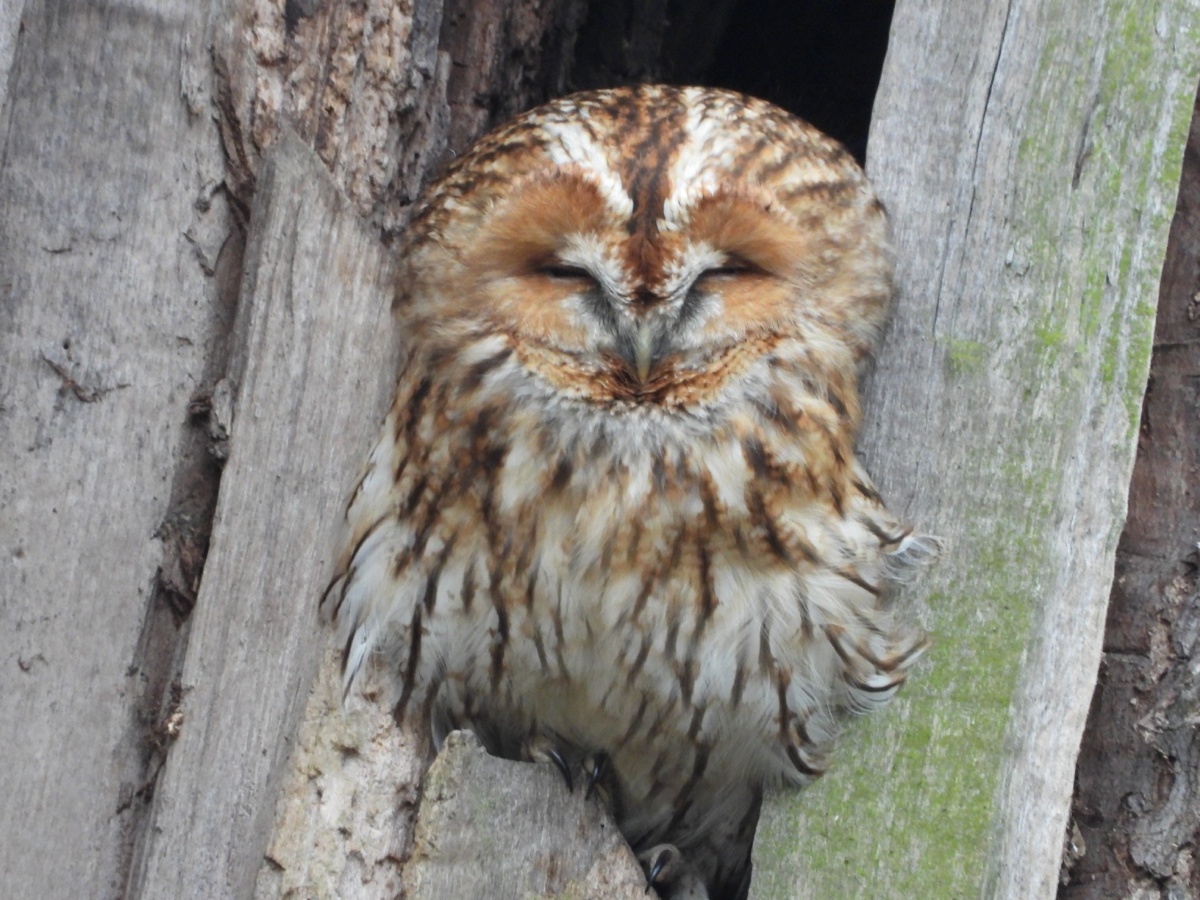 489f3cf2-0554-495e-84fd-4d616a1db821