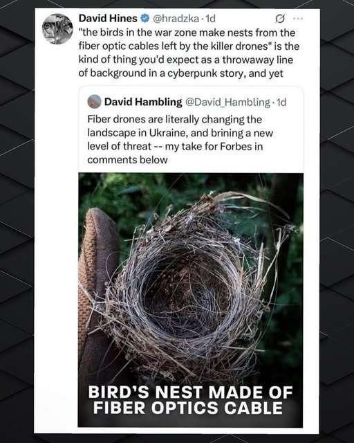 3e68f718-ccad-4211-a876-778d66a0ea55