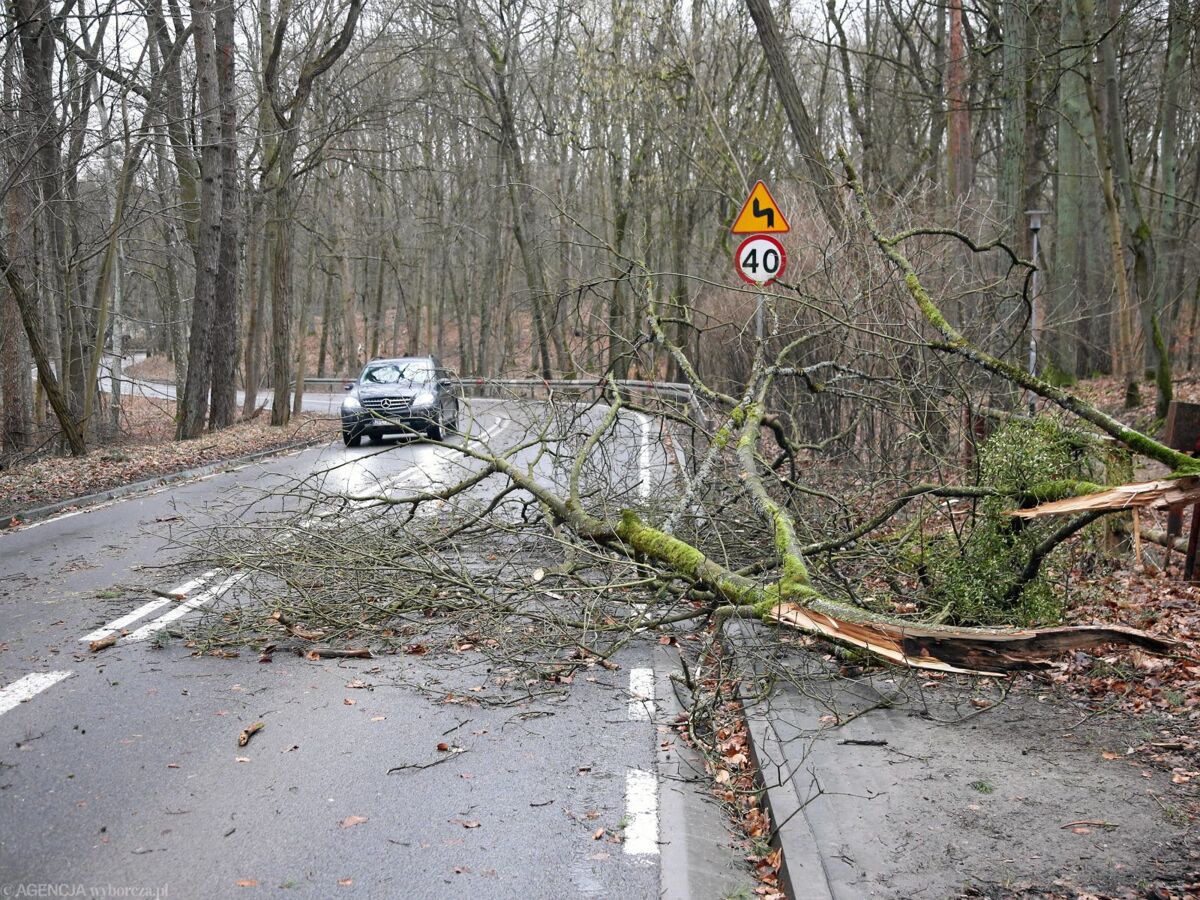 Orkan Eunice. Sobota w Polsce z groźnymi wichurami. Są ofiary śmiertelne