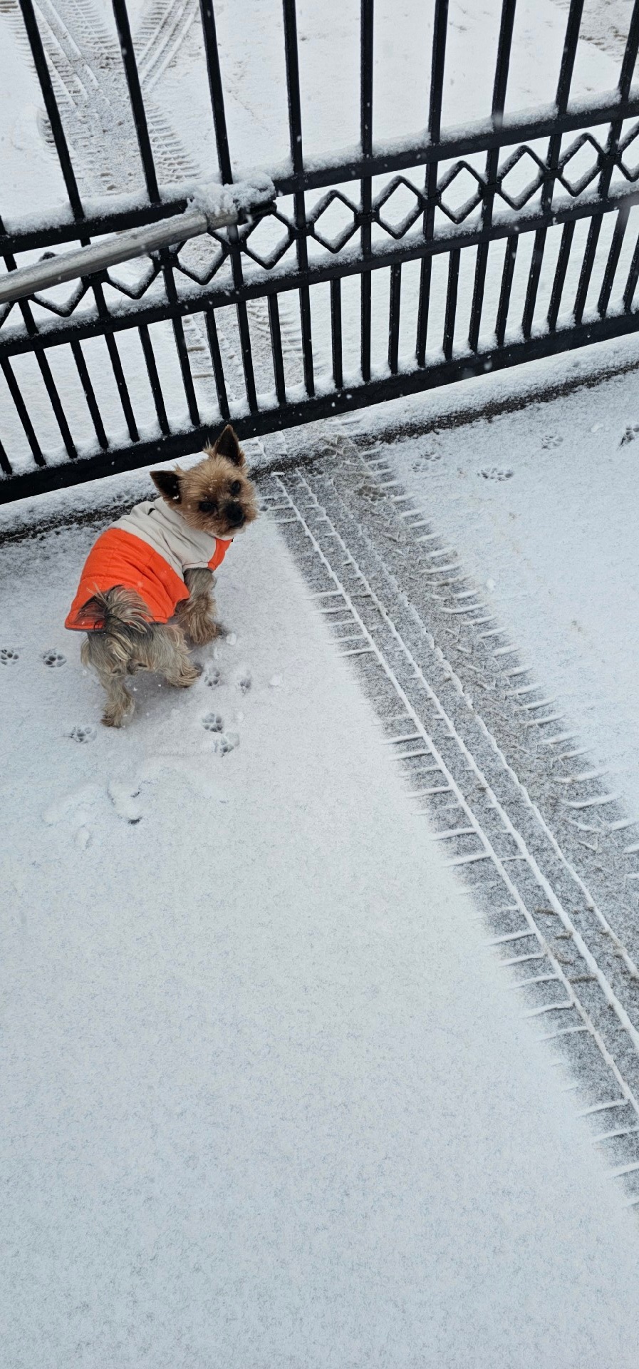 59d7028e-a07a-4af4-9a3c-5a8a88ceb9ee