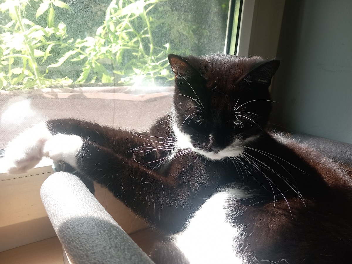 1094e9cd-4b2d-497d-b2c7-c447c89d2234