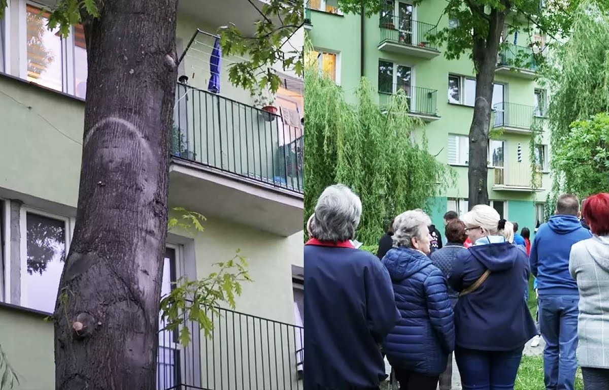 bd401a63-e0c8-498f-9c07-175564874f40