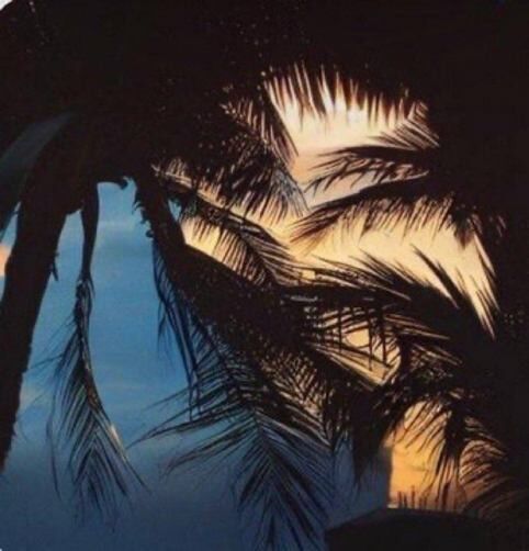 01a6b9d1-7c6f-4112-8de2-c2b81ed2fc34