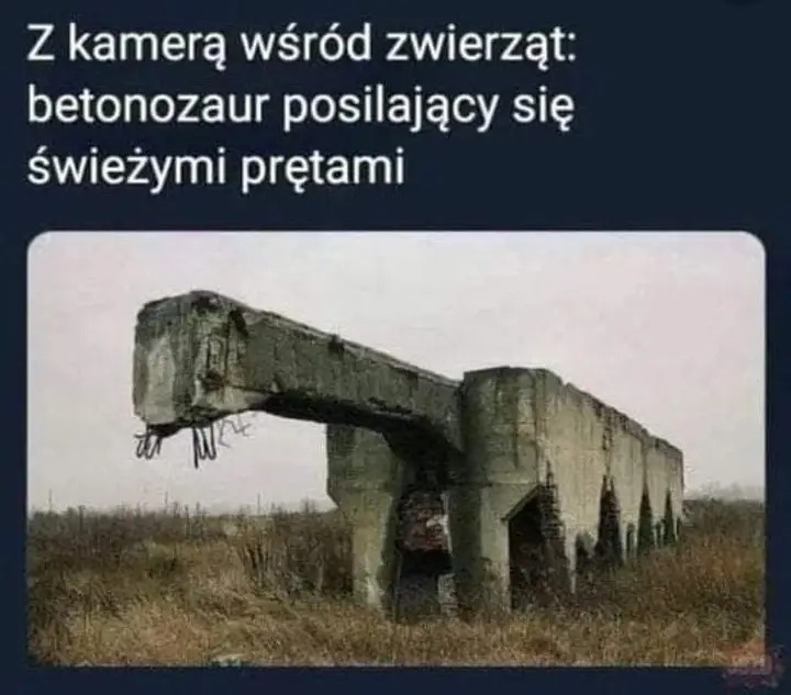 15c8eed3-bd7f-4c9b-9ef1-9812ef3f2364