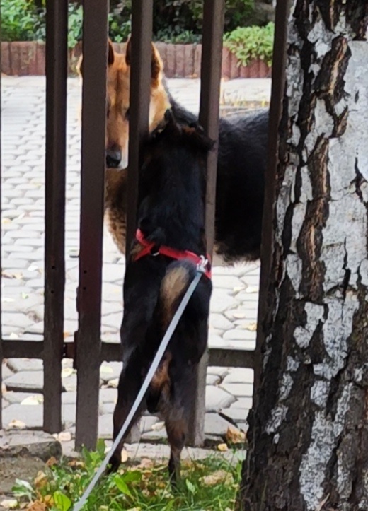 d3be8a57-3c03-4361-954e-c0c654e365b9