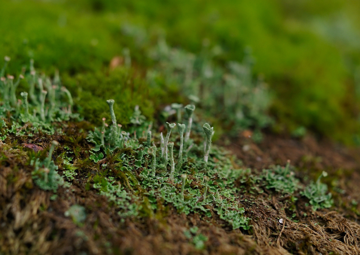 d13e3ae8-e7bf-4e77-9430-23e179c9acff