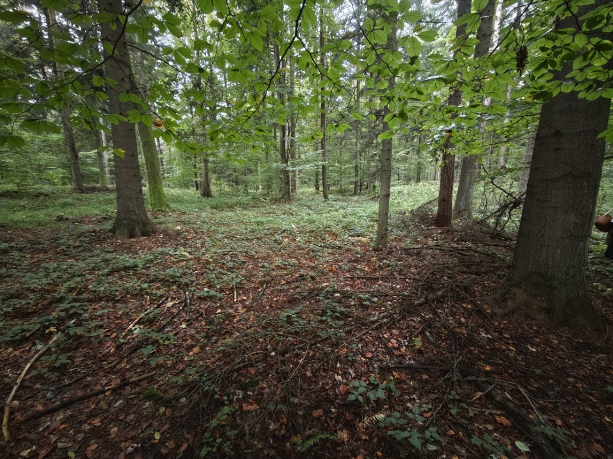 582eb85e-8331-49c7-a6a4-688e5d49a1f8