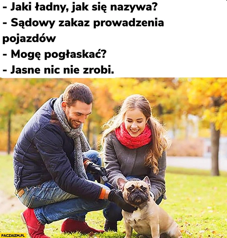 487e8161-58c9-4cd9-9555-8c3255670958