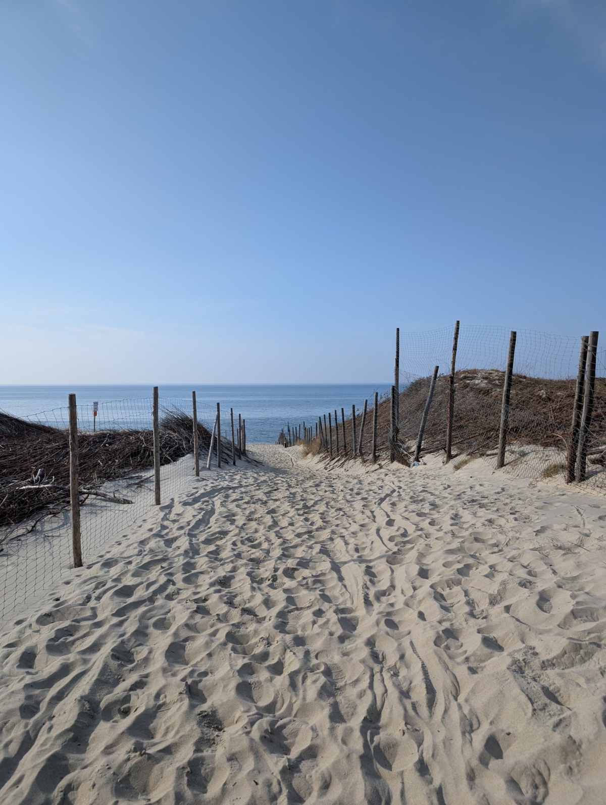 c20083fd-bd75-4154-9481-89bc46f47a2e