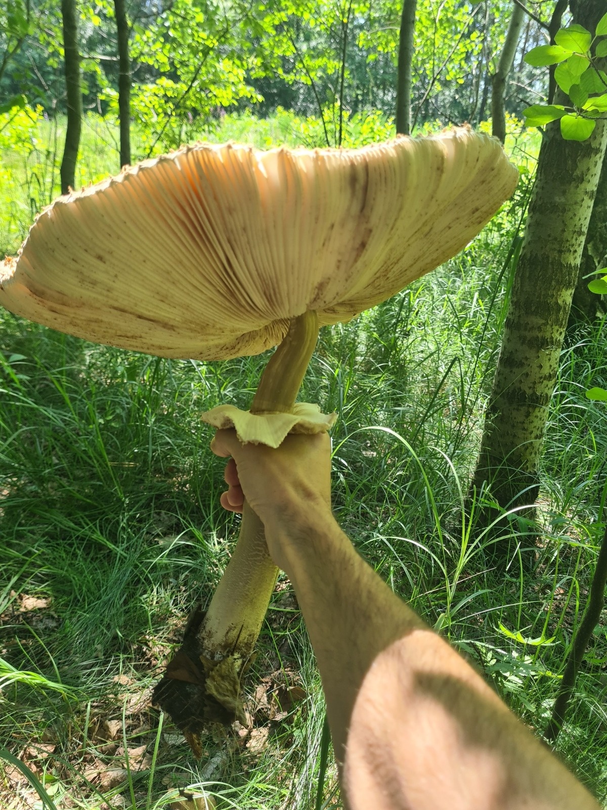 16cc6ad5-11db-438b-be58-f4823045bb9d