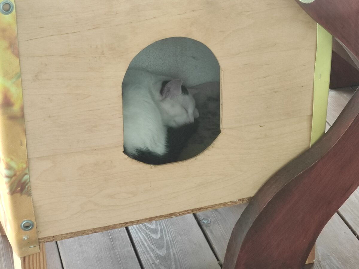 79356ce3-a623-4dd6-9713-c74cdb6e3534