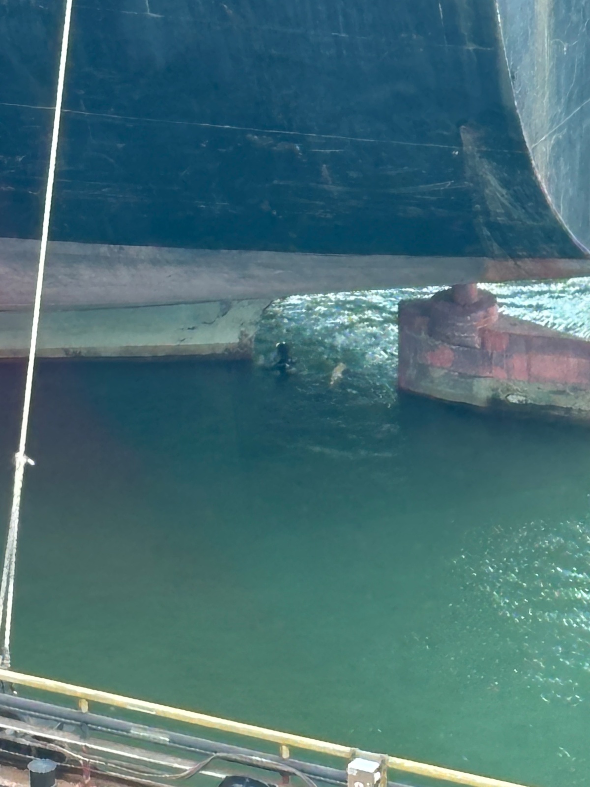 a7f40264-976d-4b04-b842-5cc71c23c0e0