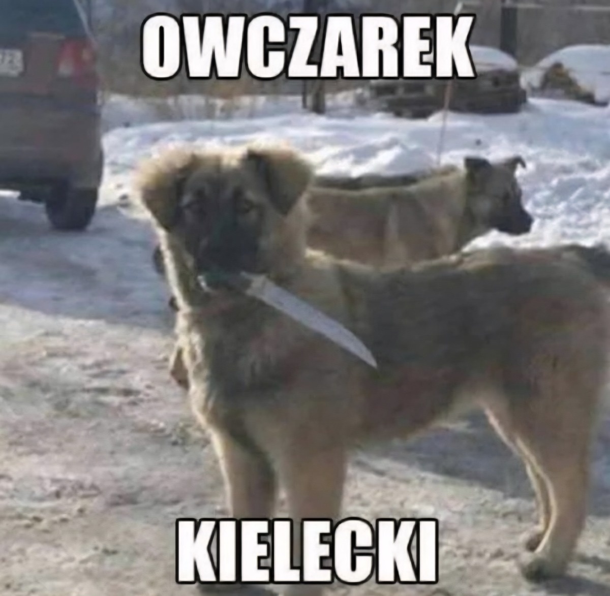 47d79169-2cff-4b8e-84b6-07befb7ddd24