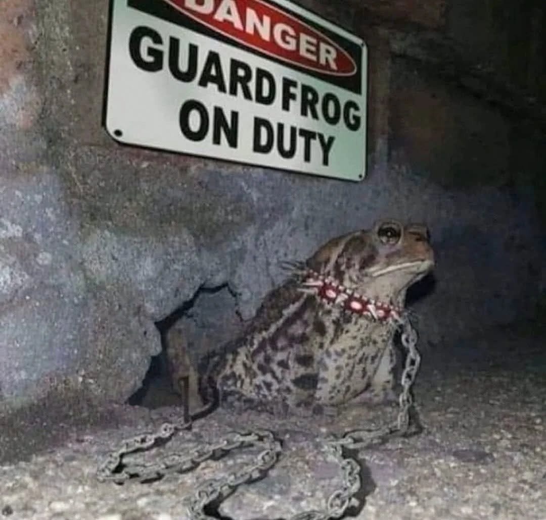 1a7700a4-0115-4e78-90f7-91dc463db660