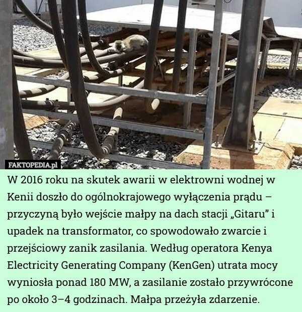 76ff5831-7eb2-4081-8073-a87ef5278005