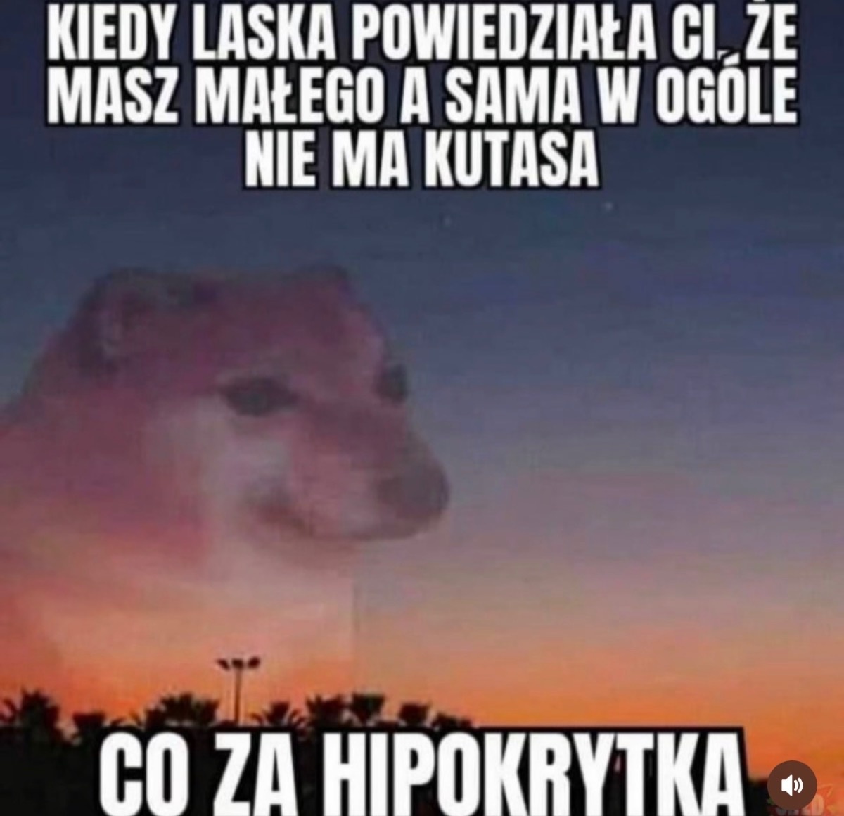 489fc2e2-e9b2-4b8c-952f-cbe41bb4f0cc