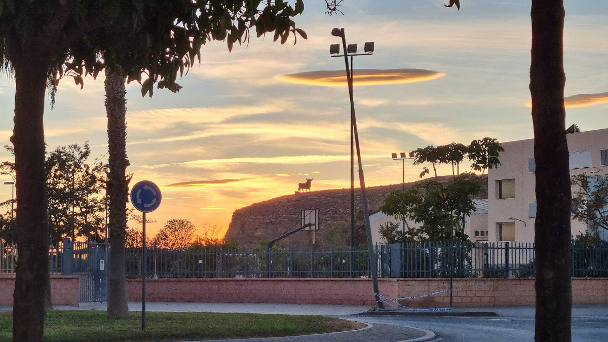 1172ec0e-4d5d-4b66-af7e-64e6261064c3