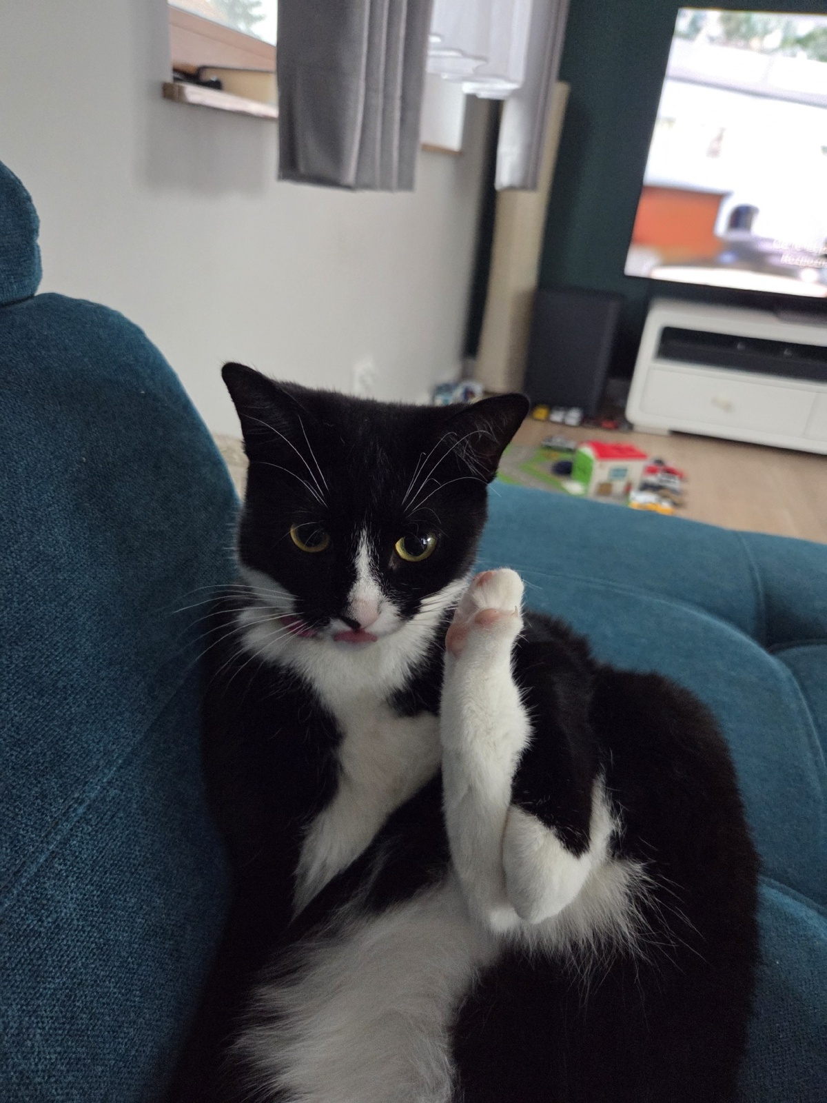 d965aa34-a92d-4e7d-85a0-69cee78d41f0