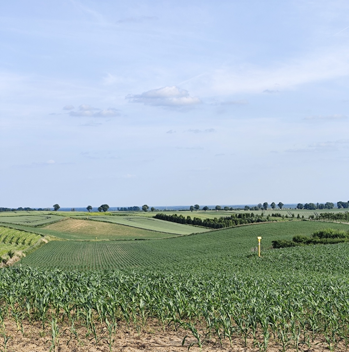 f62fda46-8adb-4c9a-8fb6-4a1f06aa3458