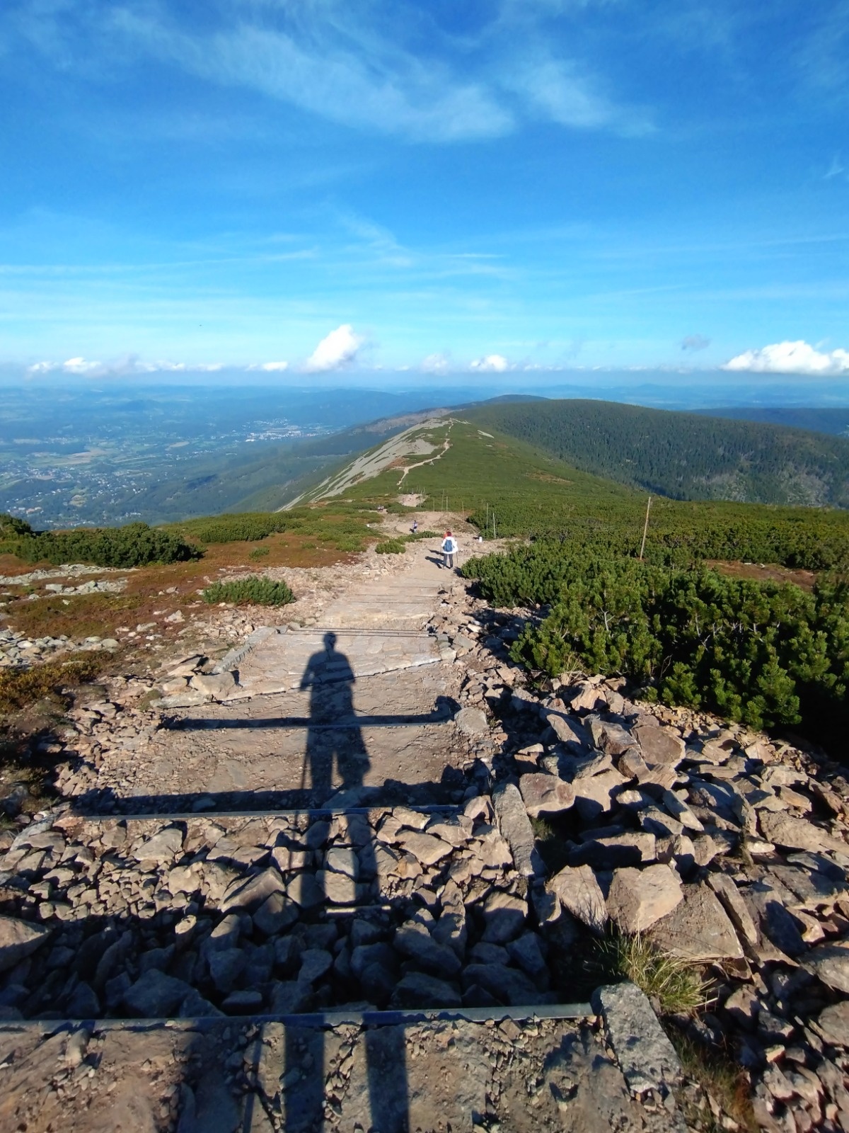 4ccc0a99-faf9-4d20-9398-ad01b83db629