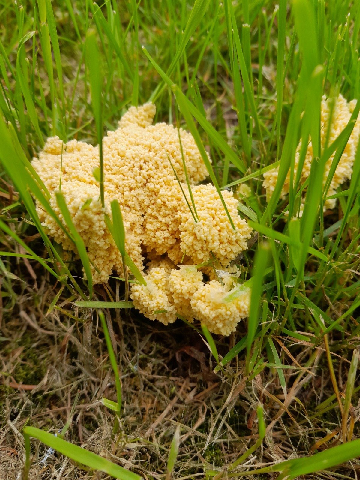 f51d2883-c78b-47f3-acb5-d76efab5acc0