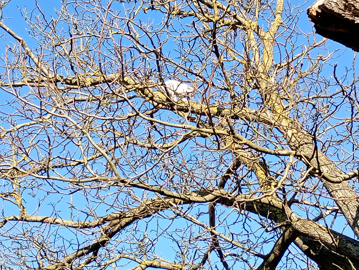 b52ab4eb-fc47-4f41-89d5-7bf3fbbabf24