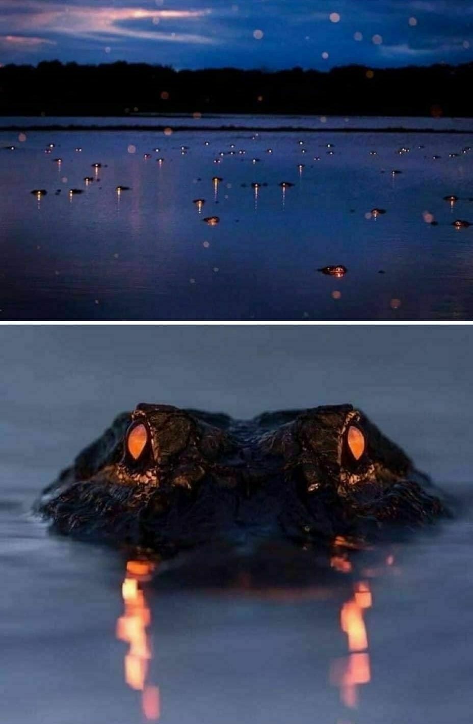 12cf3317-bc22-4210-a433-802a61437bc0