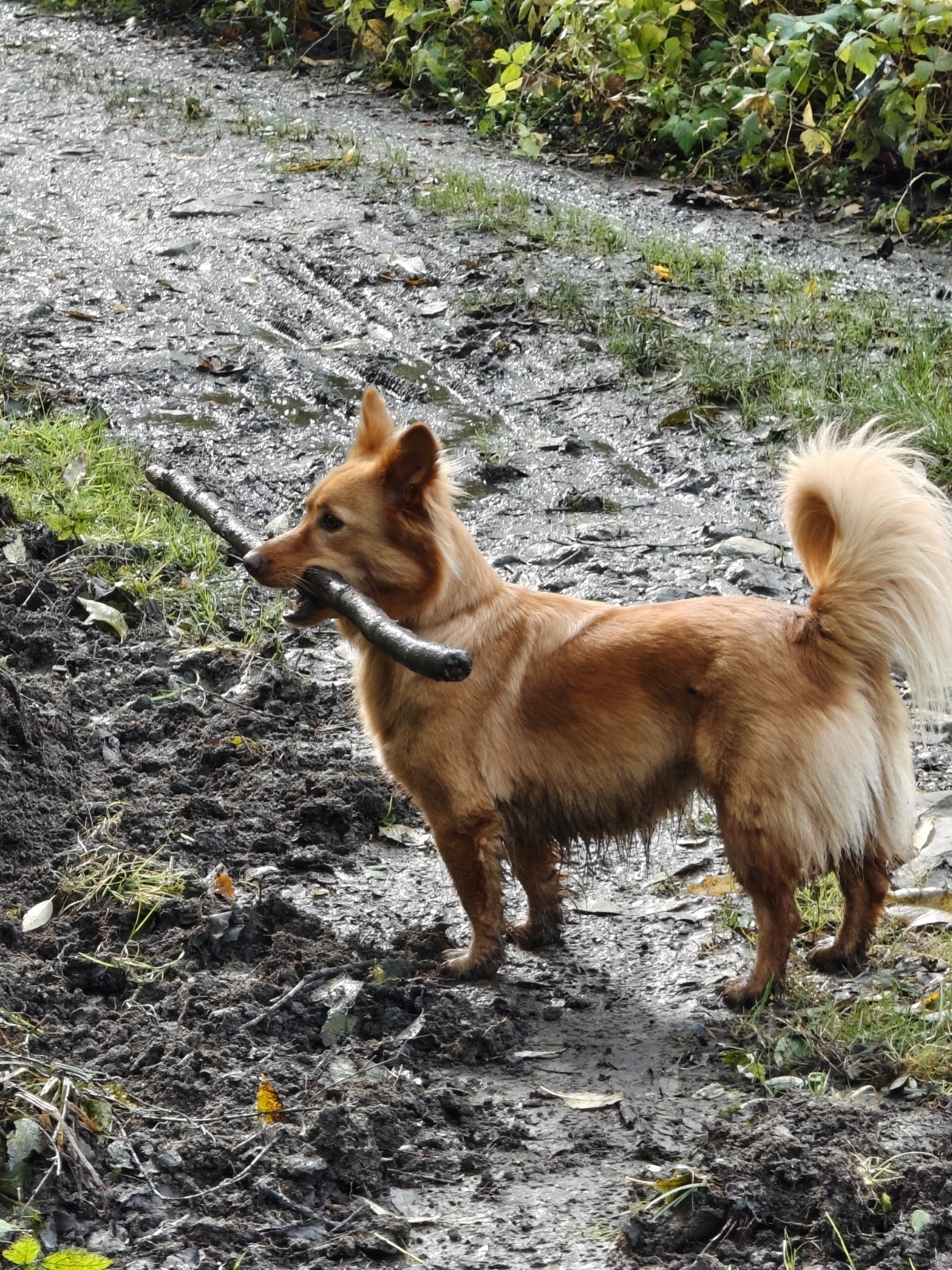 1922f45c-19b1-414f-9498-8b3546aba98b