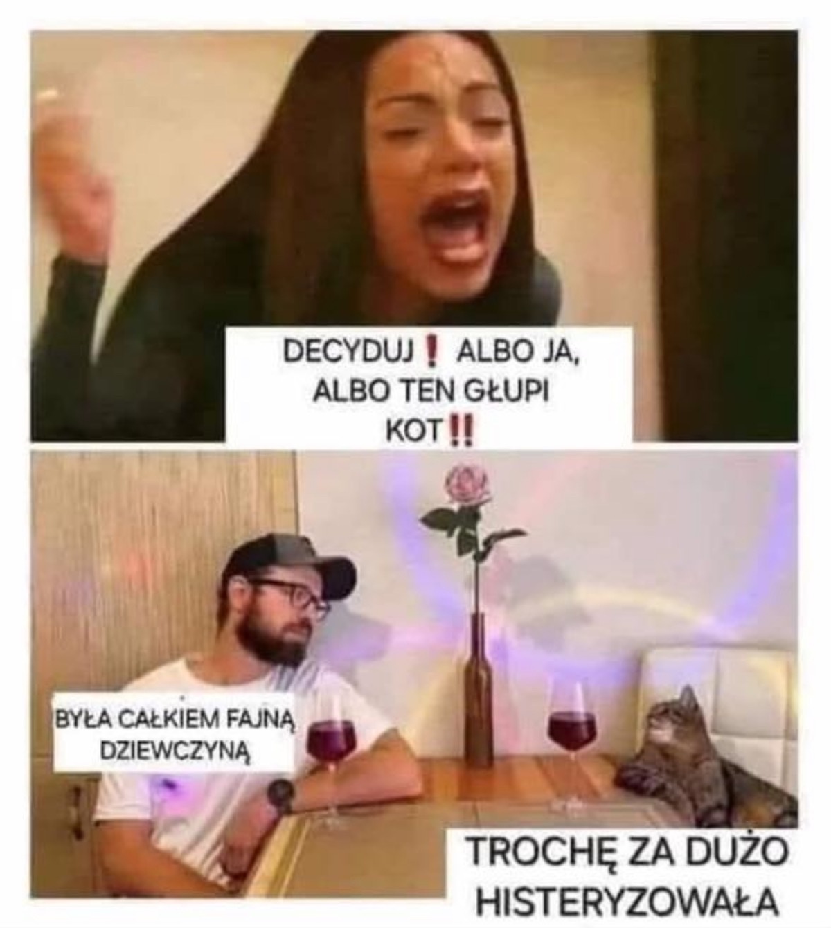 2d0b5336-f97e-4272-9ca0-432c983a4525