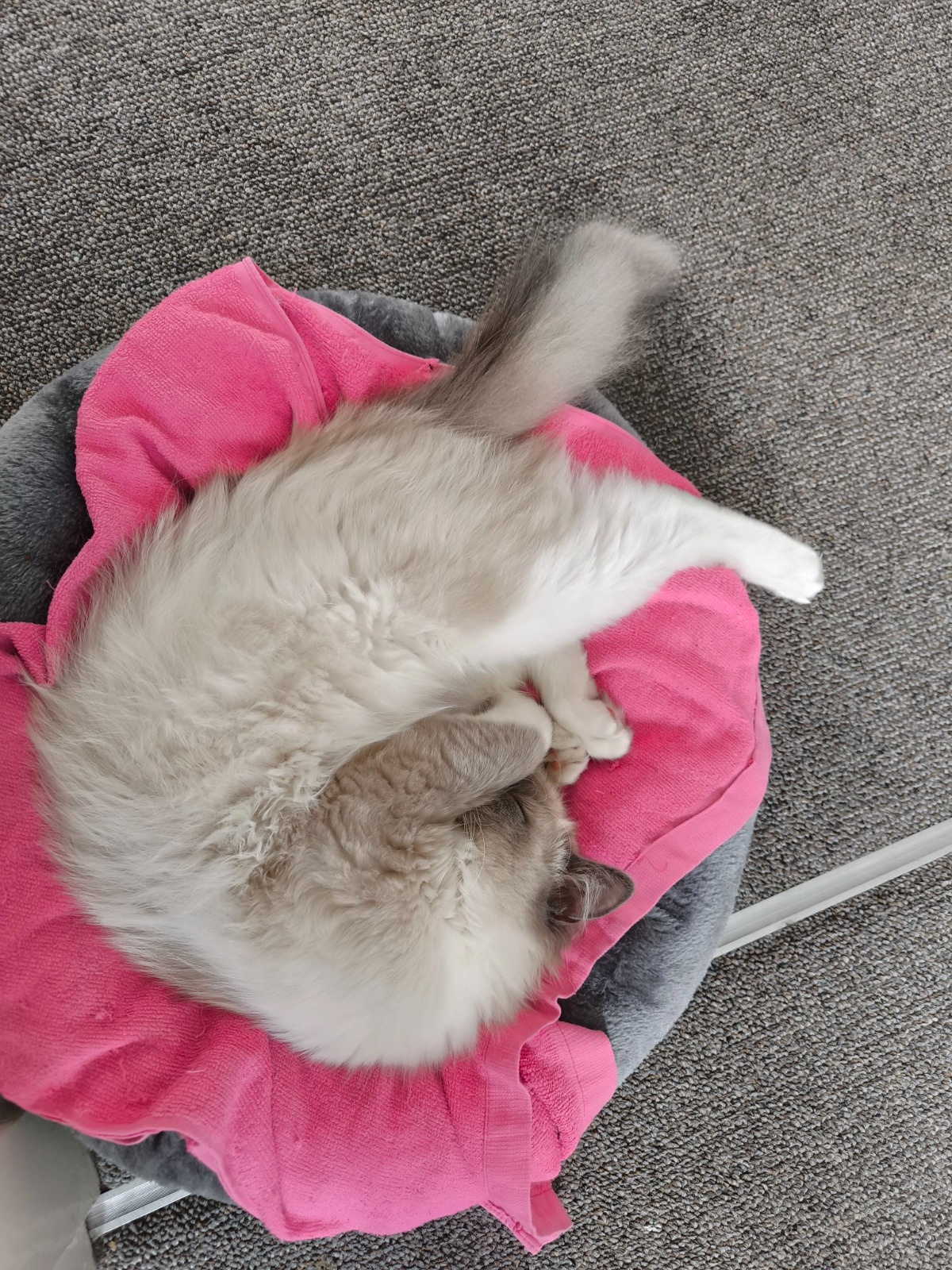 25754489-3156-4bef-8698-bc3d5853edc7