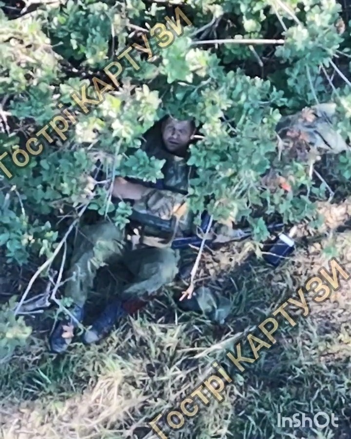 9d38d067-5d77-4b1a-8e3e-145d683aa44b