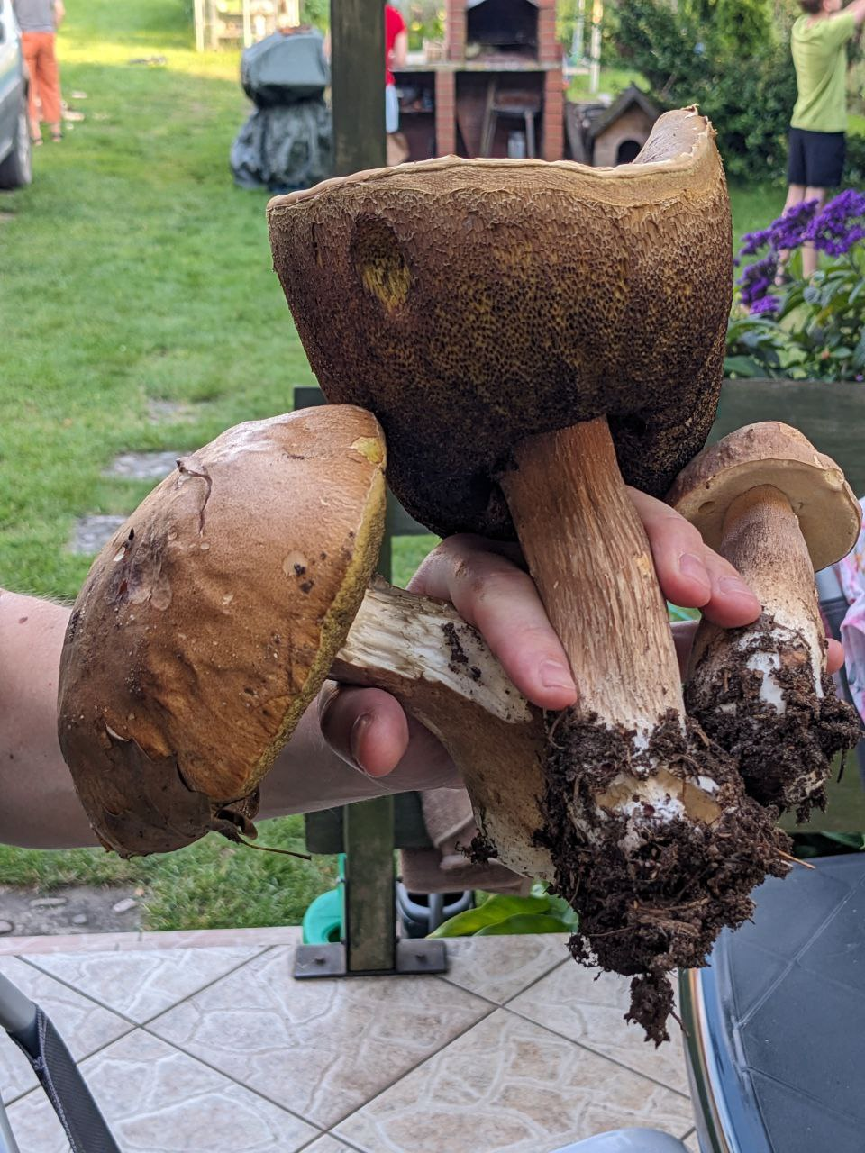 3e5658c6-12af-4bf1-a96a-545fa4fa09a6