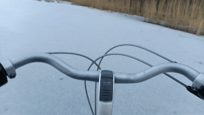 d8758b31-5b87-4738-9748-aff5faec8eae