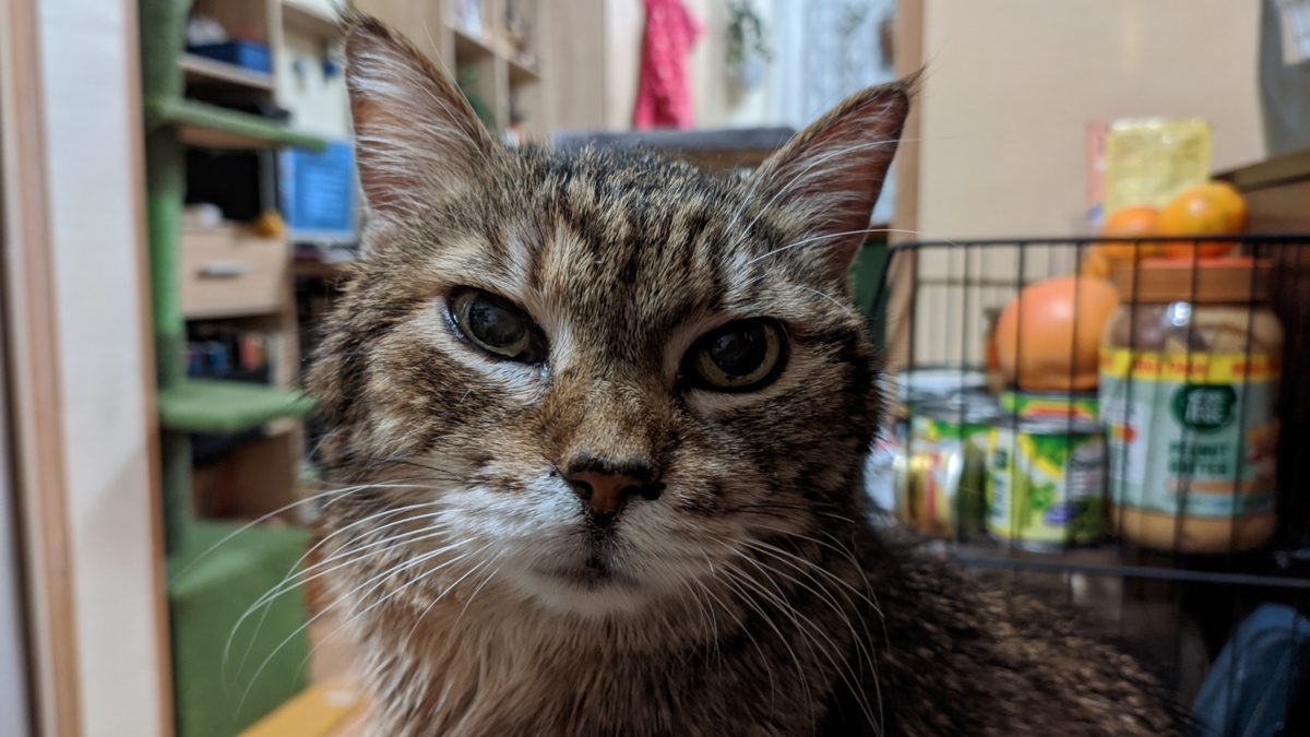 87110e58-13b2-4981-900d-b56ba3c59bf4