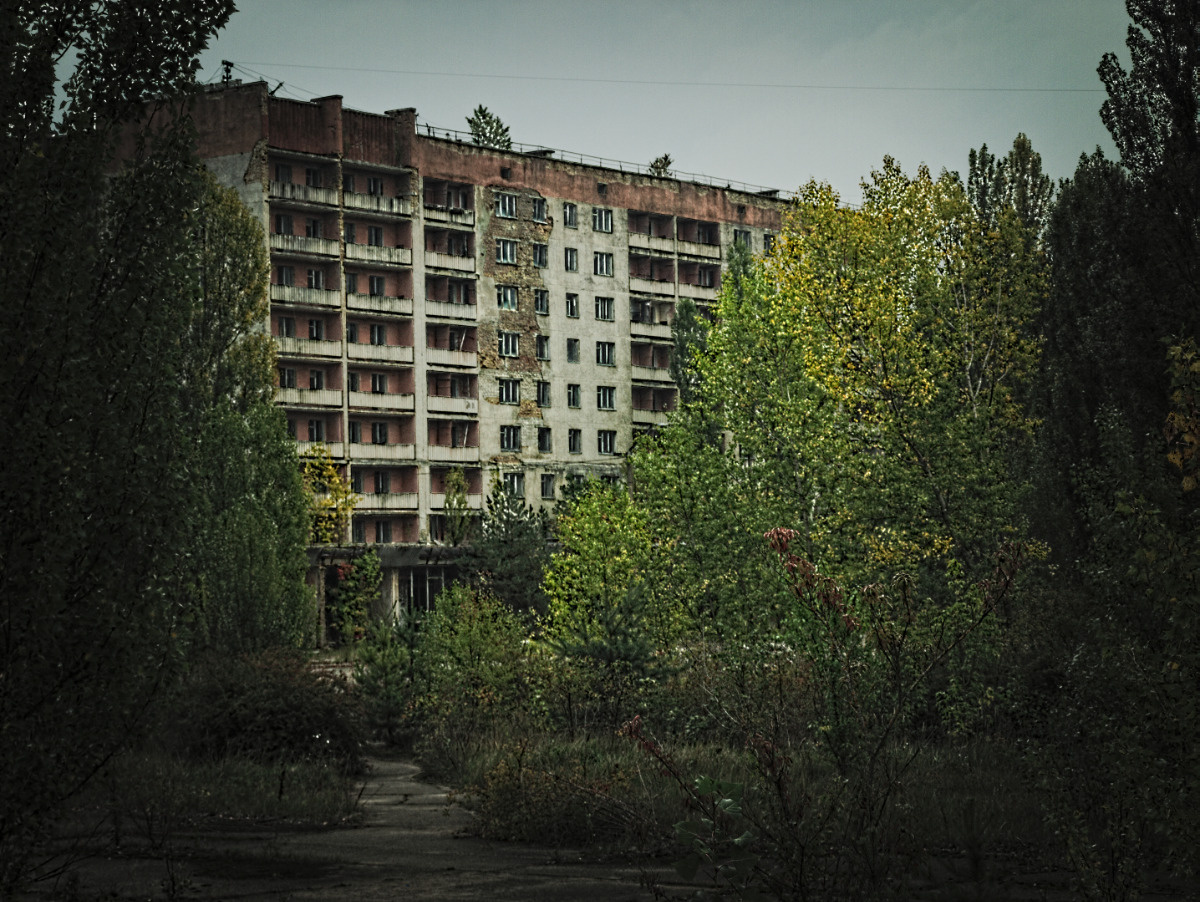 _Y068117 (Large).jpg