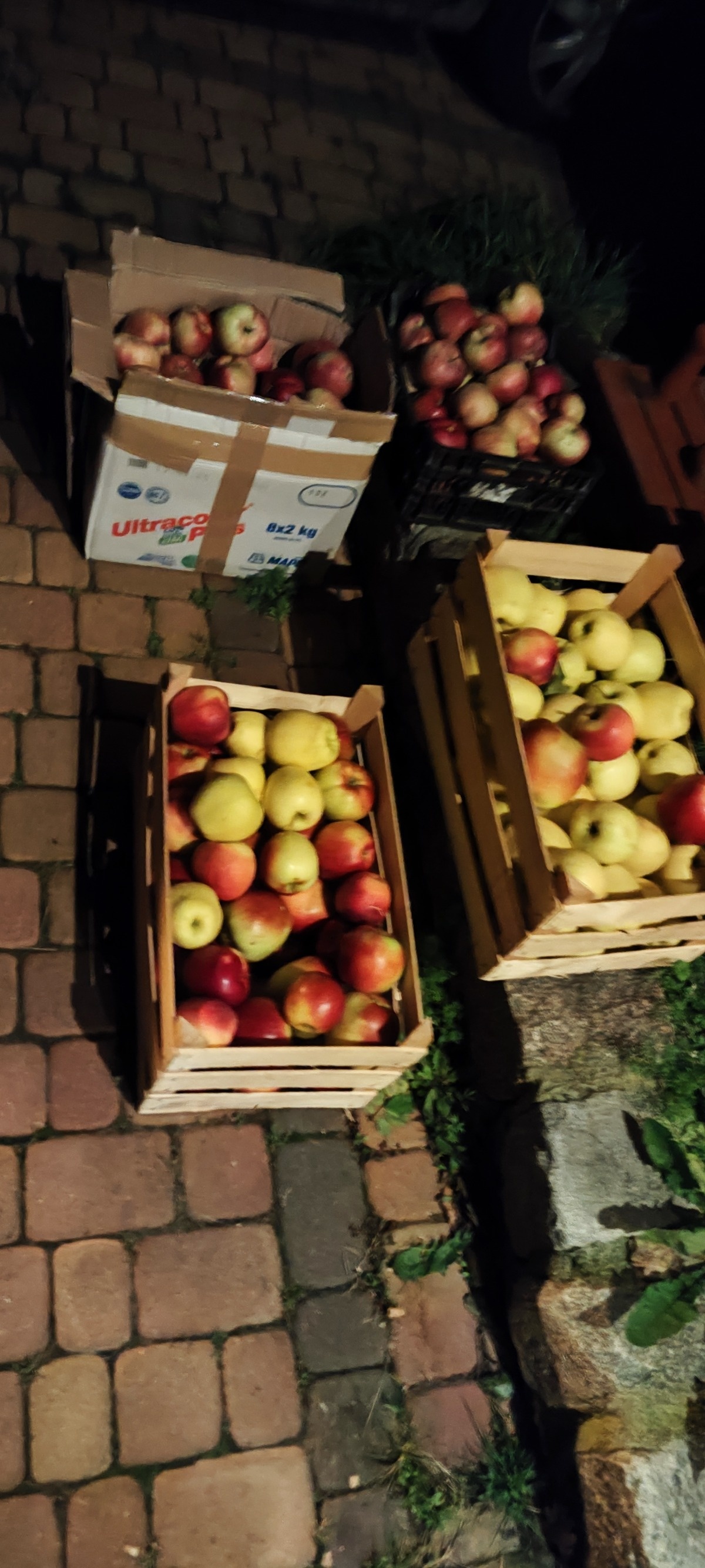 fb3c826d-bf05-4c50-bc10-fb5c855746ed