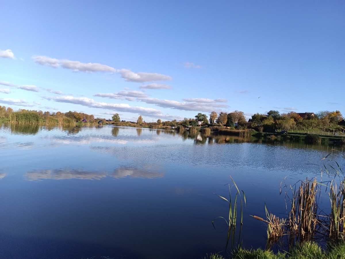 6bbf6f2f-19f2-45d3-b08d-be499e09f24b