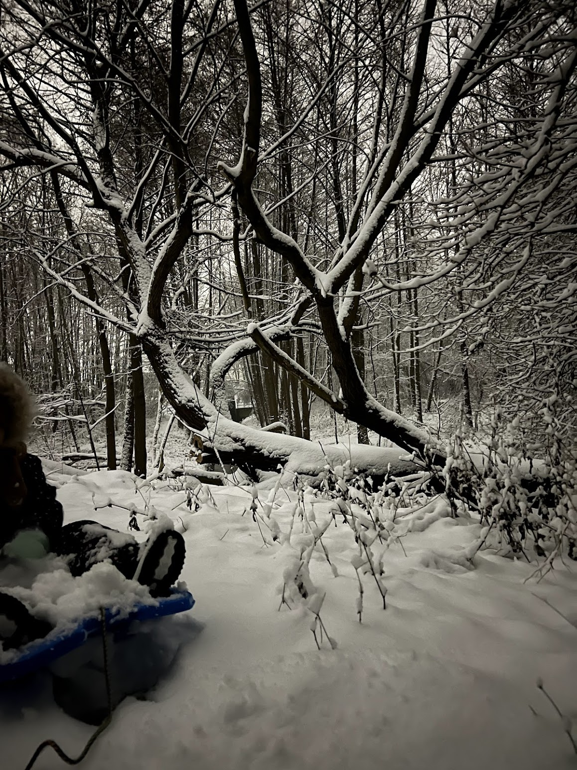 1a2ea5f2-3a4a-411f-9f6c-959d33d96814