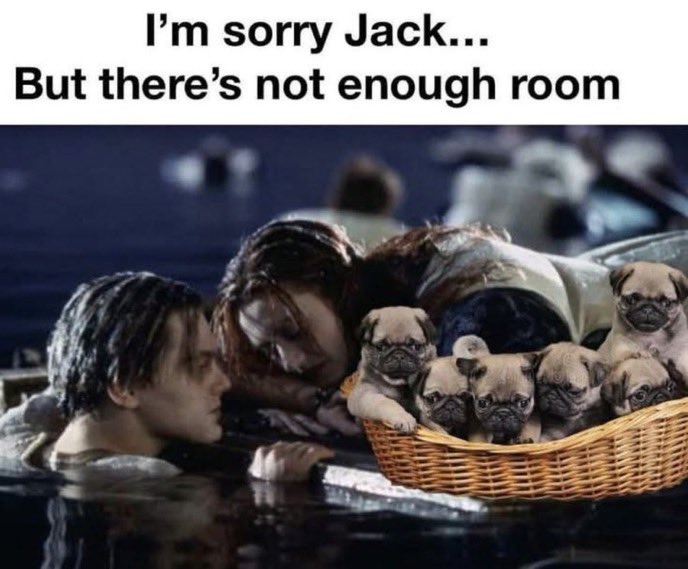 9c55a548-2ab6-4912-8817-65353ccc0759