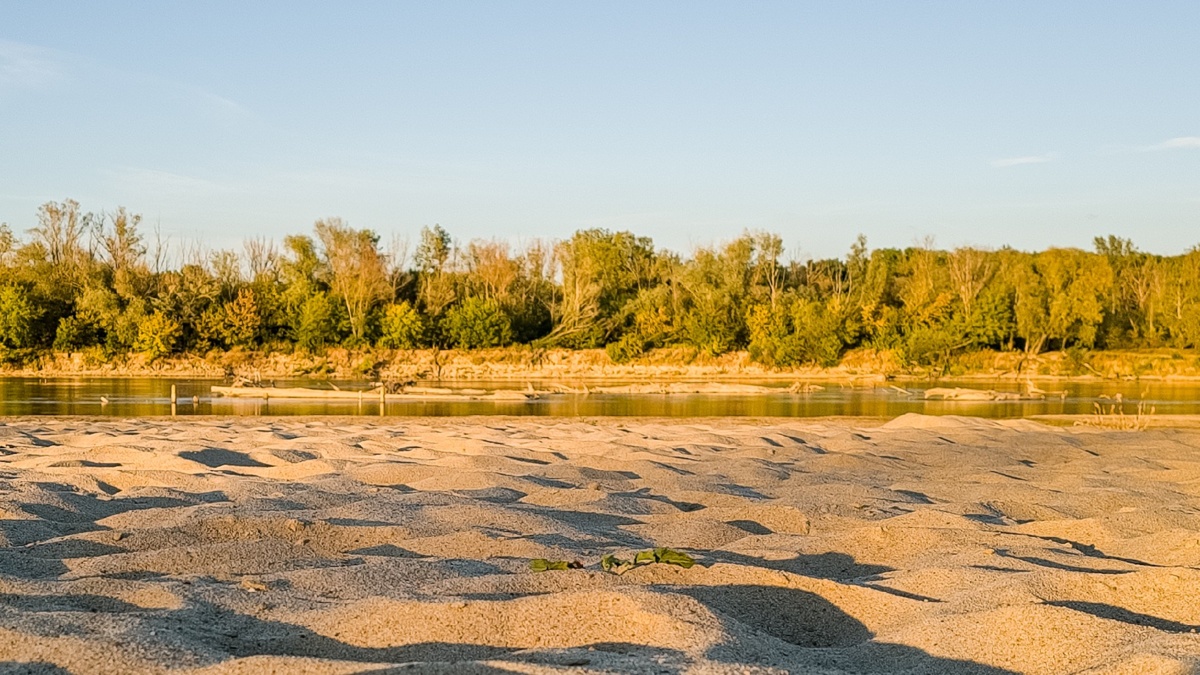 c029bed9-7176-43a6-a496-e30540f41d41