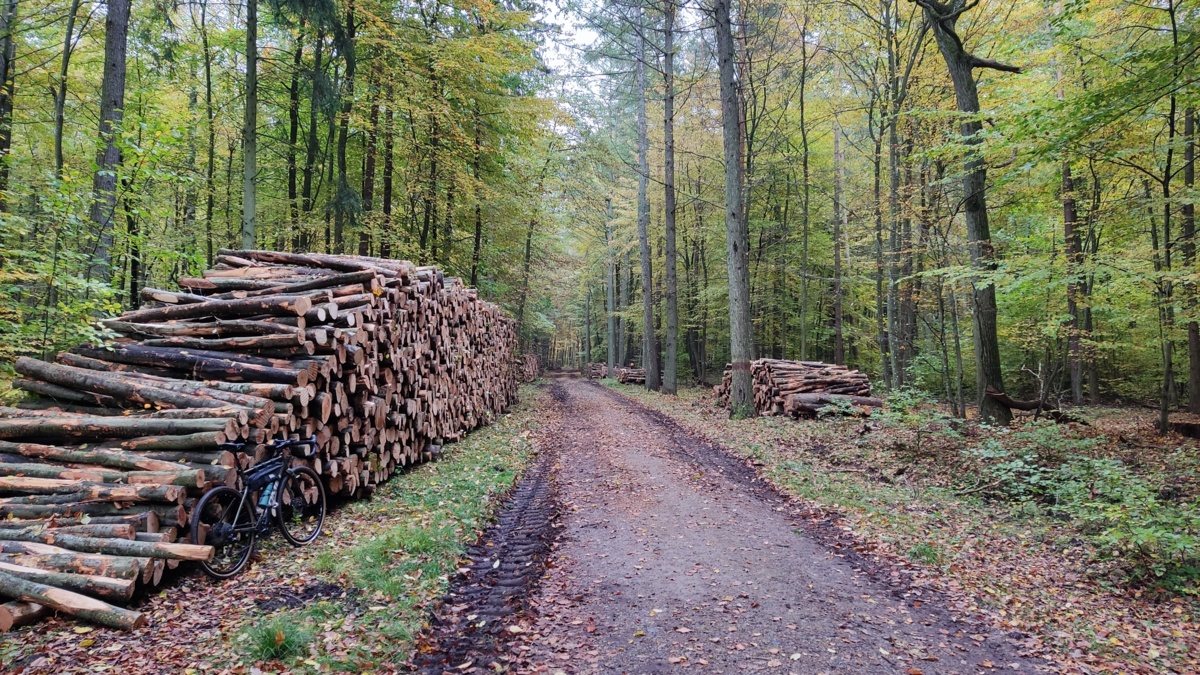 36f1819c-aa82-4c5d-9aa0-7efb72a8afd2