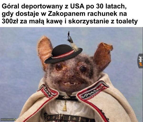 e3172259-c64a-41ce-87e1-23b29cf01dd2