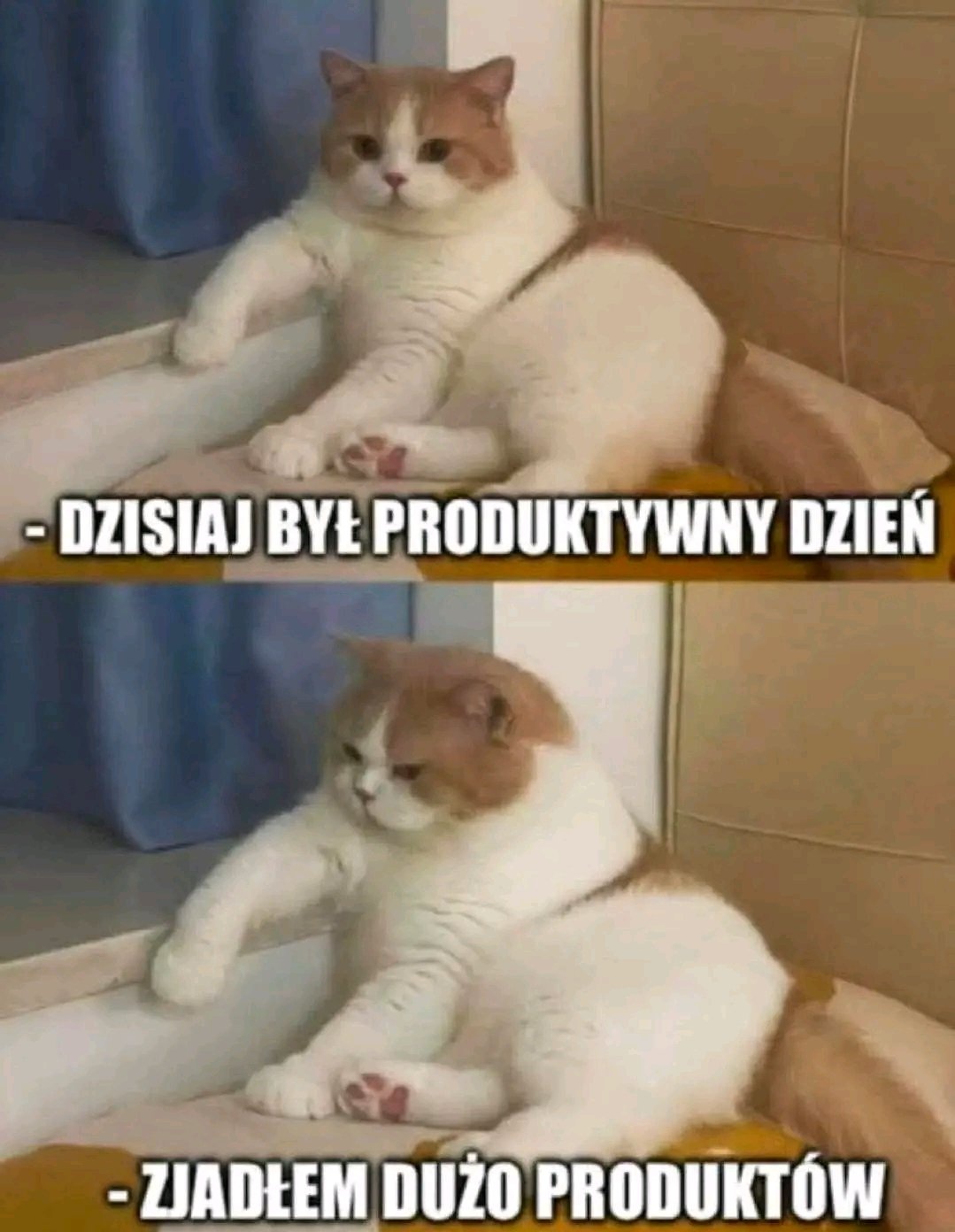 32baeb14-ad72-4851-b8a0-ac2bf8eaa114