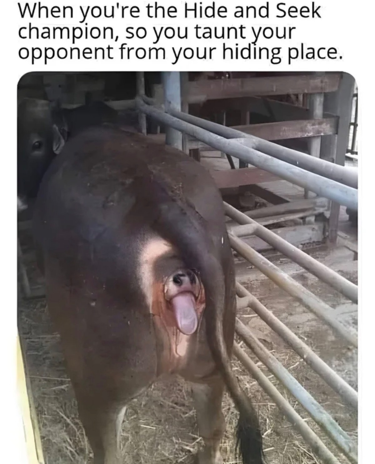 aef133be-aff6-480c-9267-bb21afc0628e