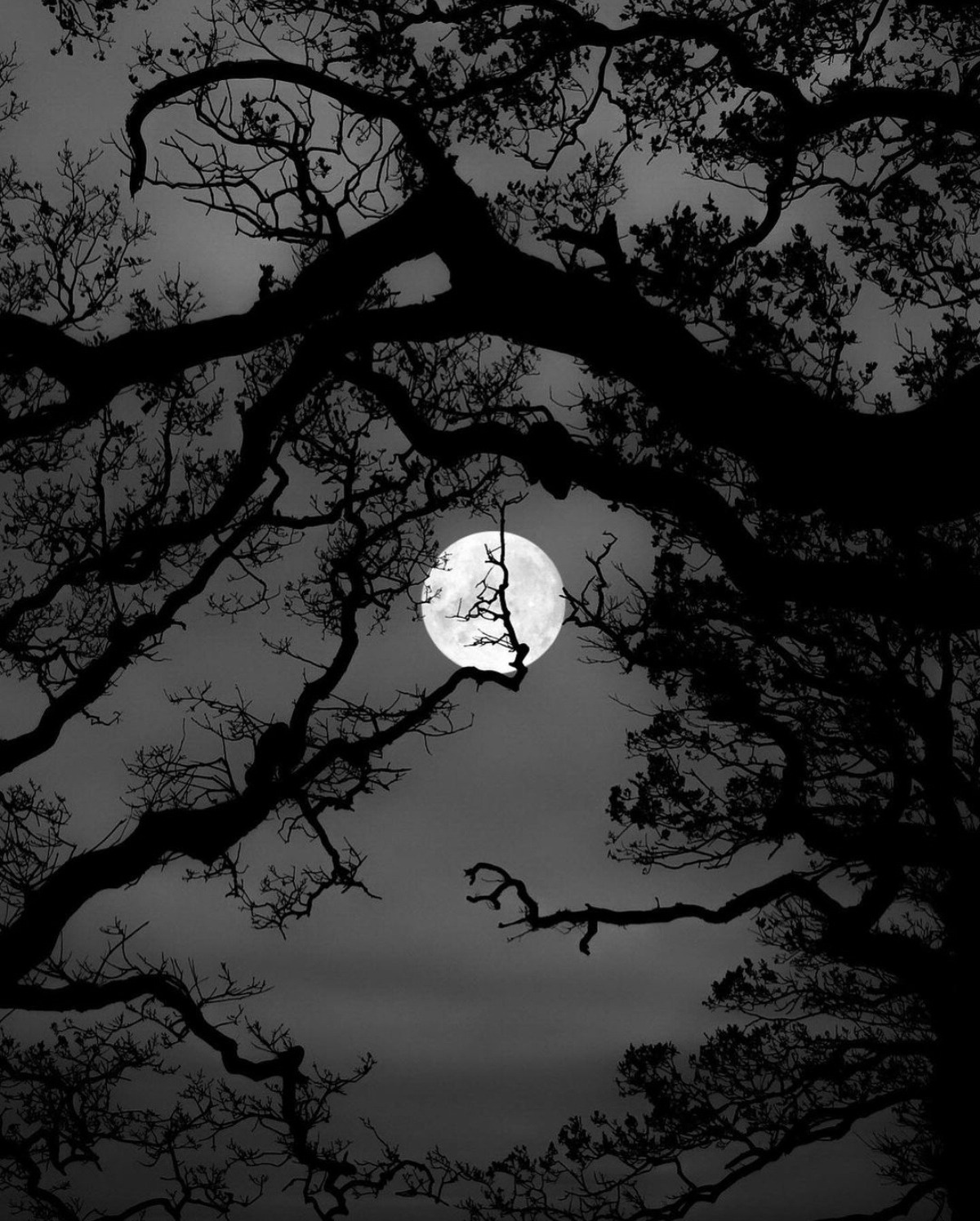 d119d0dc-6c0f-4c45-b961-29b0b0425fa9