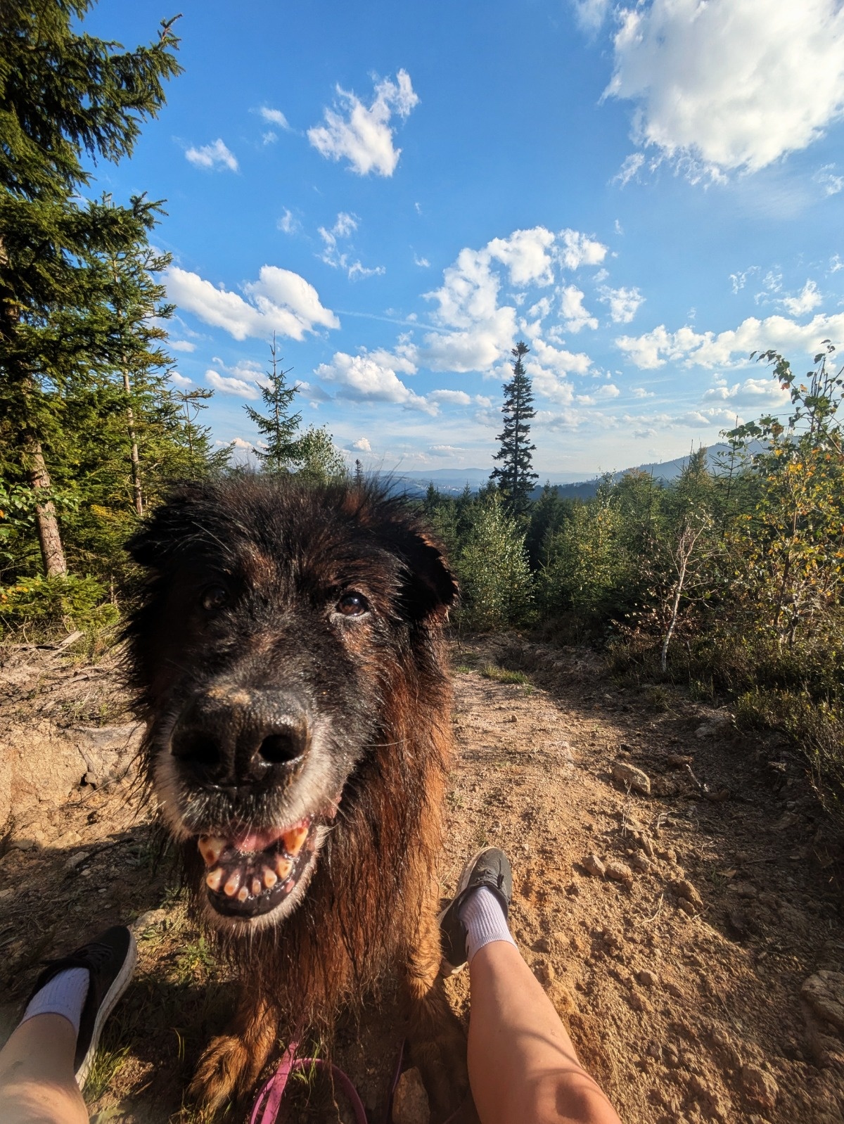 94fcbfc3-4bb5-4b9d-814b-b97437649fec