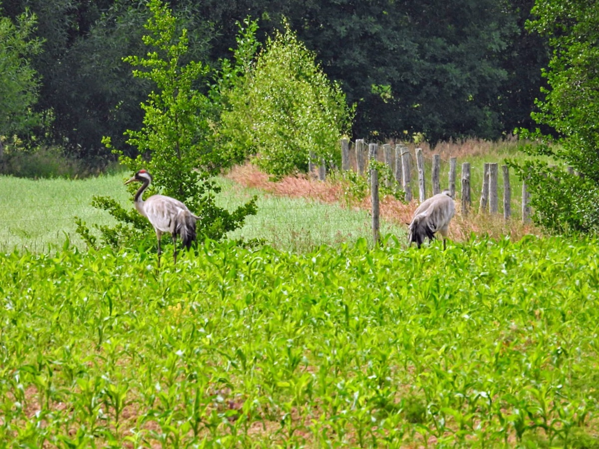 bdf0f9c4-9d18-4819-afe3-281c2b24990b