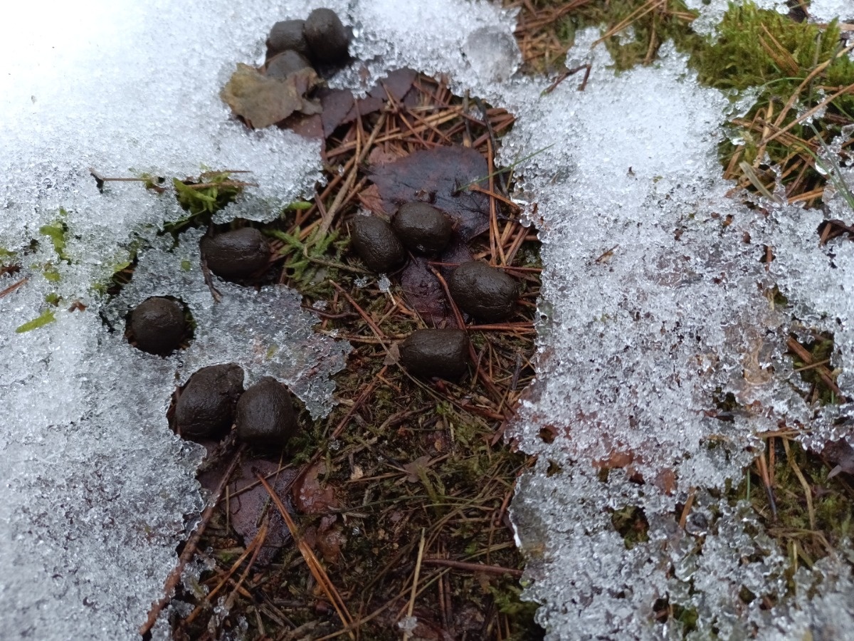 708c7667-0c93-4ef0-aa78-f1db1a54e46d