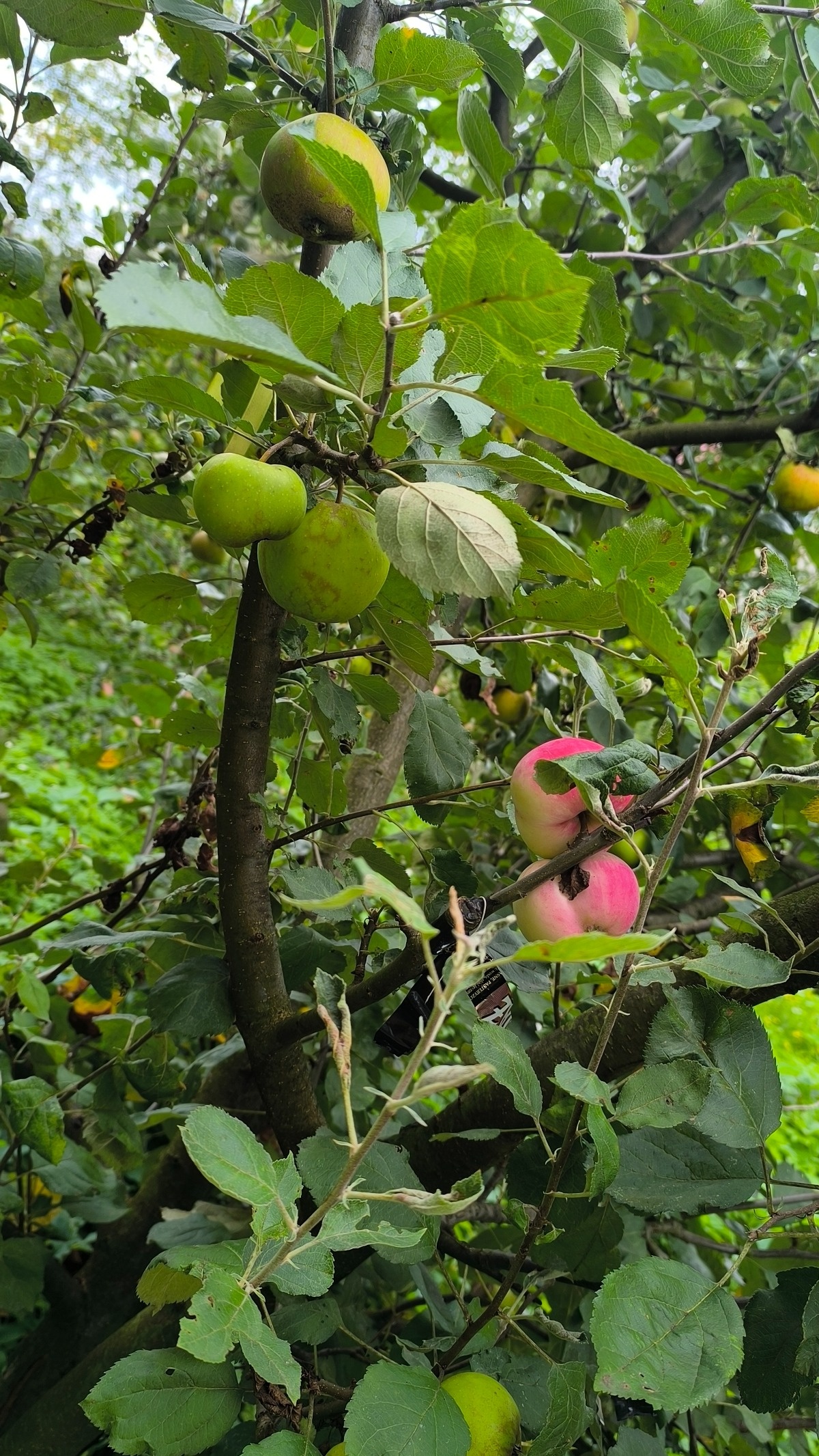 171a57a7-07e6-448a-b22a-43e5d6d47ae8