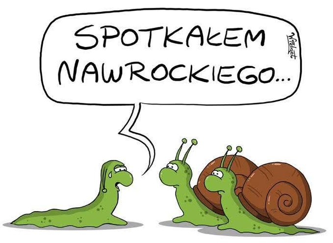 31185c98-29e3-4baf-a867-9a782cfa128e